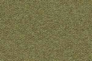 Ковровая плитка Tessera Chroma 3613 Pasture фото  | FLOORDEALER